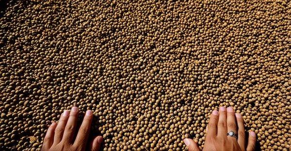 Média sur aix-en-provence : entre culture et découvertes