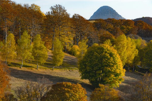 Préparer sa visite du puy du fou : les incontournables à connaître